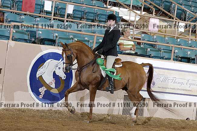 Proof 11yn_02590