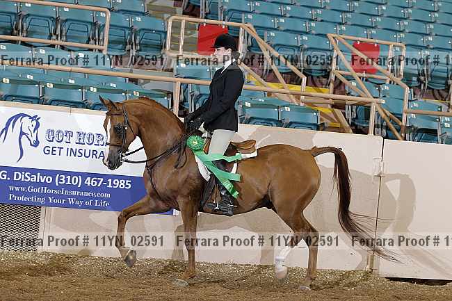 Proof 11yn_02591