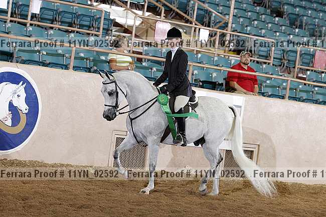 Proof 11yn_02592