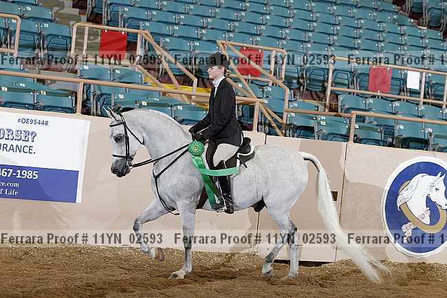 Proof 11yn_02593