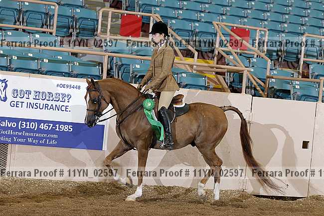 Proof 11yn_02597