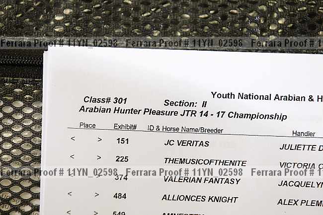 Proof 11yn_02598