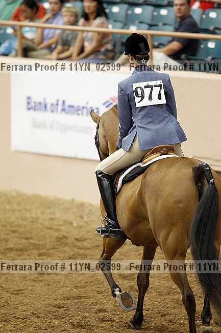 Proof 11yn_02599