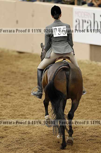 Proof 11yn_02601