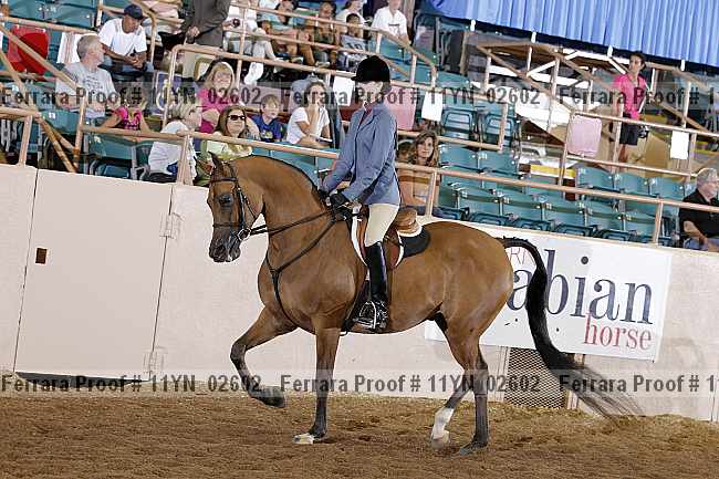 Proof 11yn_02602
