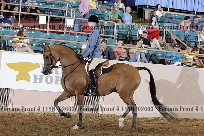 Proof 11yn_02603