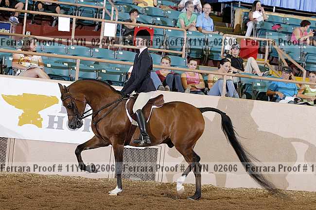 Proof 11yn_02606