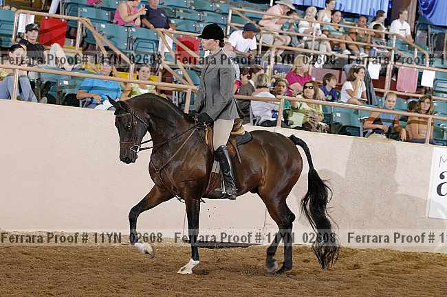 Proof 11yn_02608