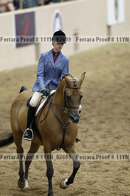 Proof 11yn_02609