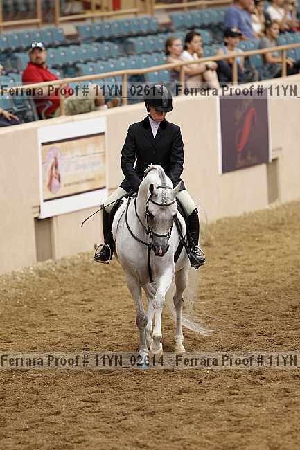 Proof 11yn_02614