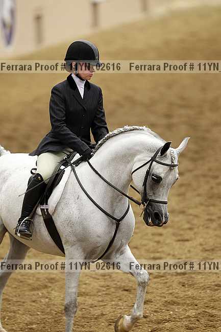 Proof 11yn_02616