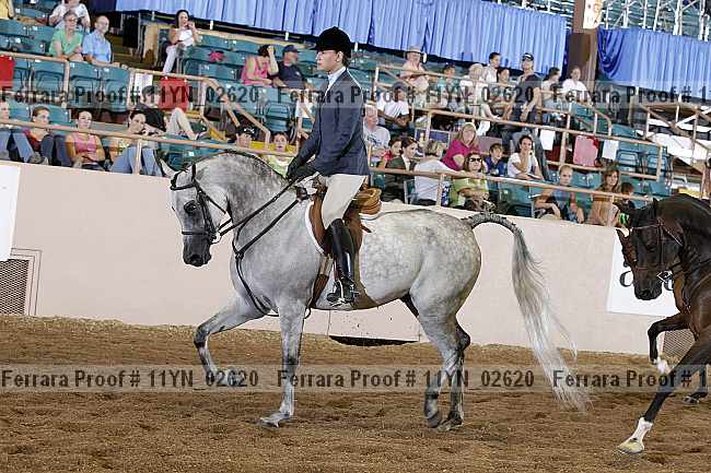 Proof 11yn_02620