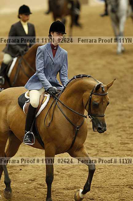 Proof 11yn_02624