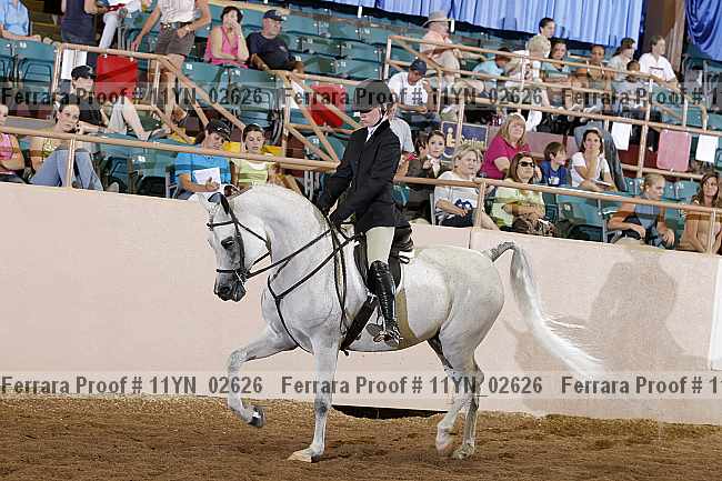 Proof 11yn_02626