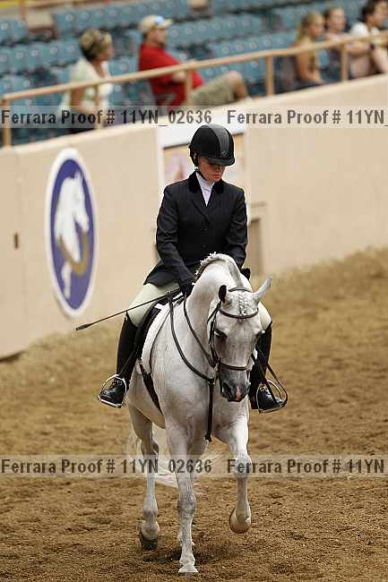 Proof 11yn_02636