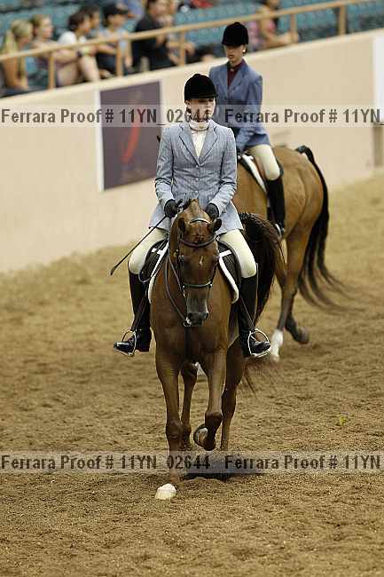 Proof 11yn_02644