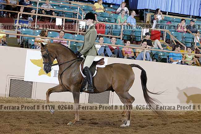 Proof 11yn_02648