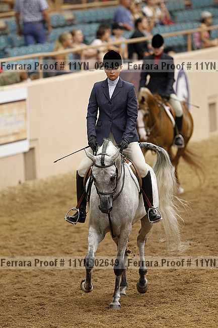 Proof 11yn_02649
