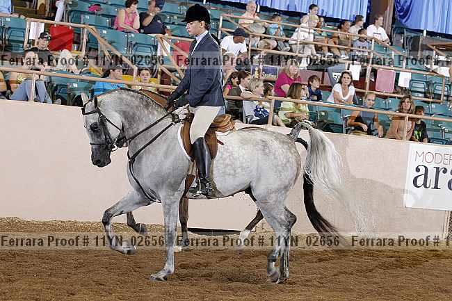 Proof 11yn_02656