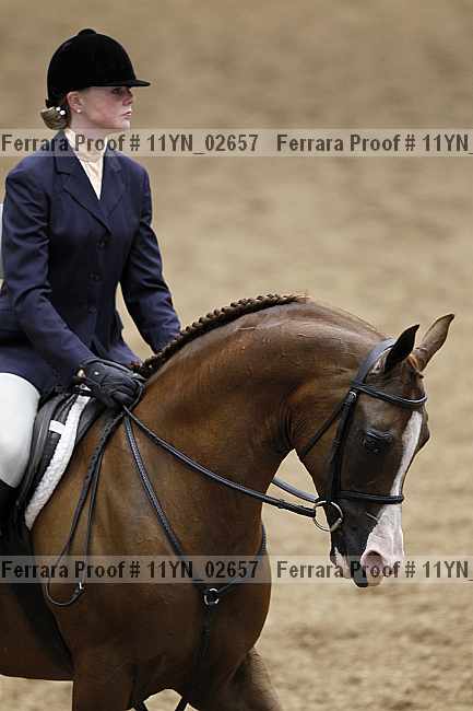 Proof 11yn_02657