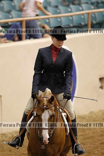 Proof 11yn_02666