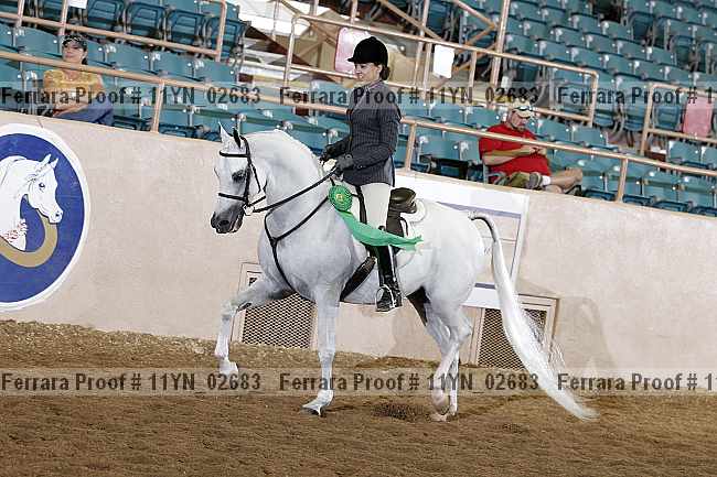 Proof 11yn_02683