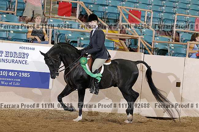 Proof 11yn_02688