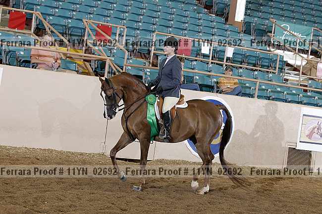 Proof 11yn_02692