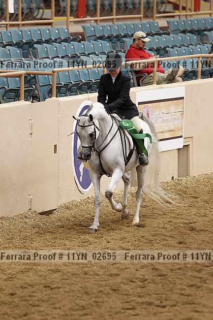 Proof 11yn_02695