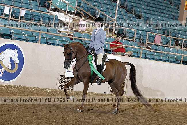 Proof 11yn_02696