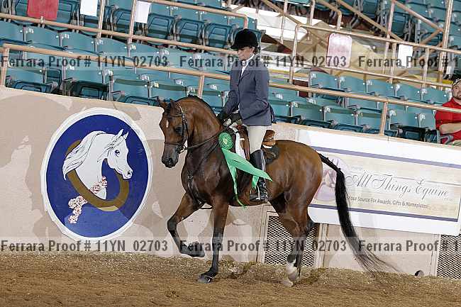 Proof 11yn_02703