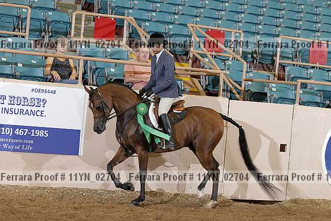 Proof 11yn_02704