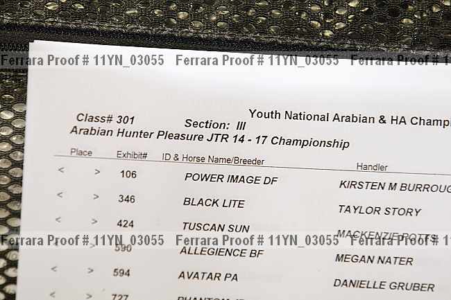 Proof 11yn_03055