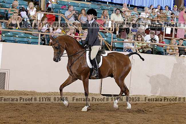 Proof 11yn_03058