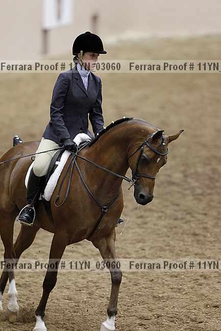 Proof 11yn_03060