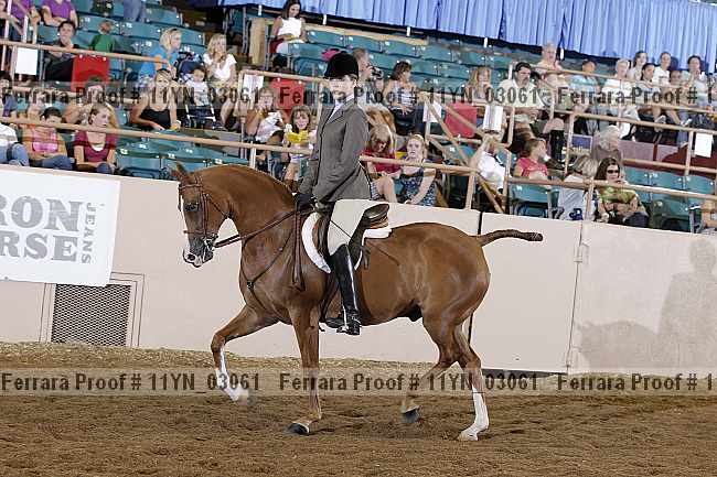 Proof 11yn_03061