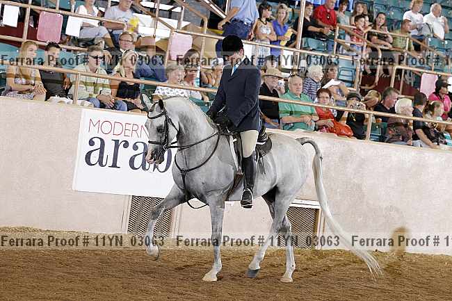 Proof 11yn_03063