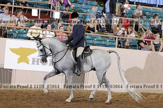 Proof 11yn_03064