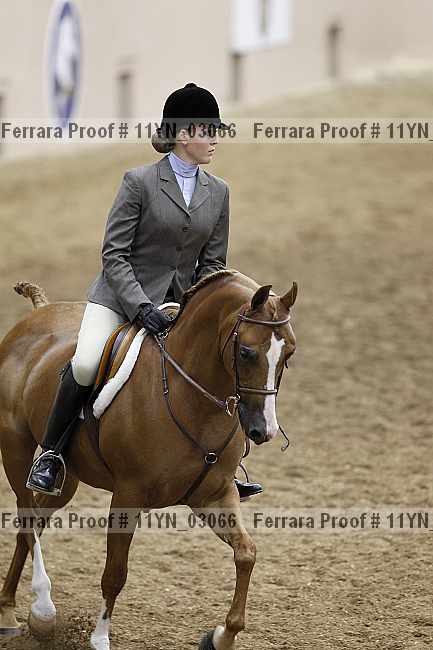 Proof 11yn_03066