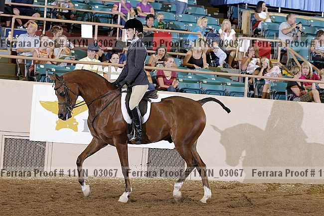 Proof 11yn_03067