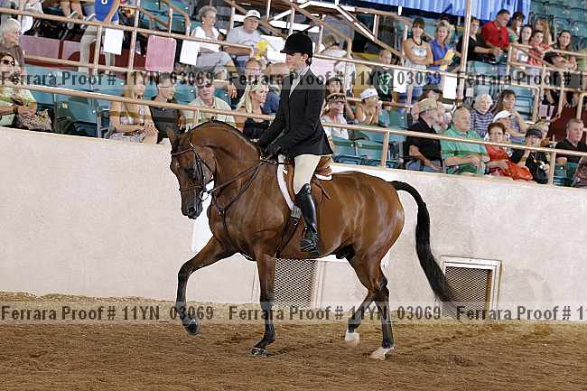 Proof 11yn_03069