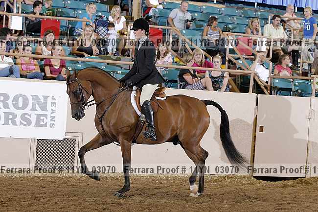 Proof 11yn_03070