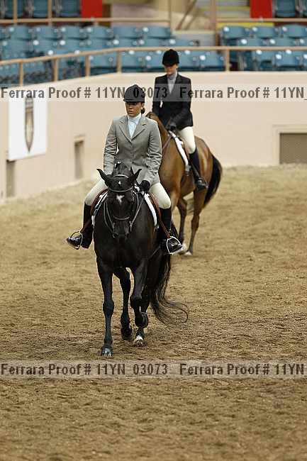 Proof 11yn_03073