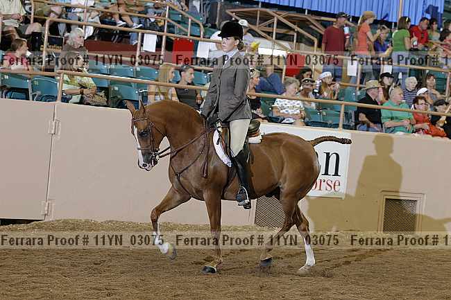 Proof 11yn_03075