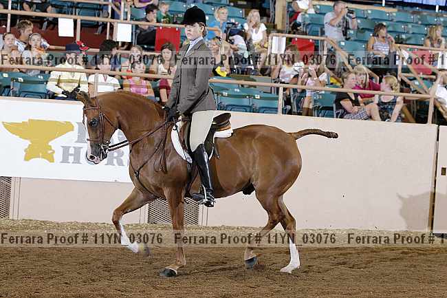 Proof 11yn_03076