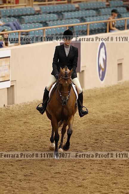 Proof 11yn_03077