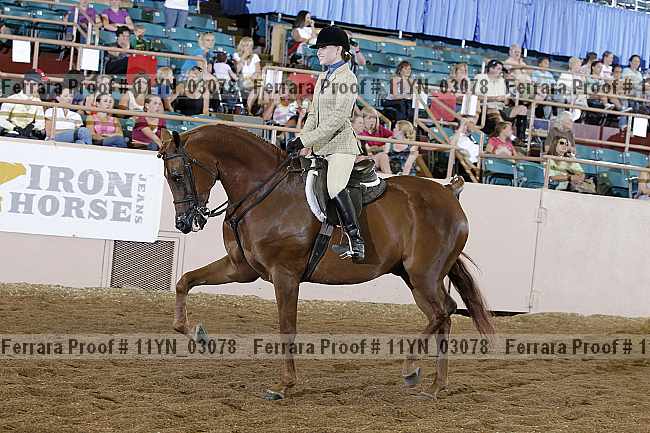 Proof 11yn_03078