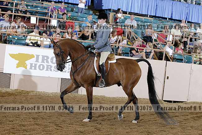 Proof 11yn_03079