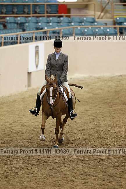 Proof 11yn_03080