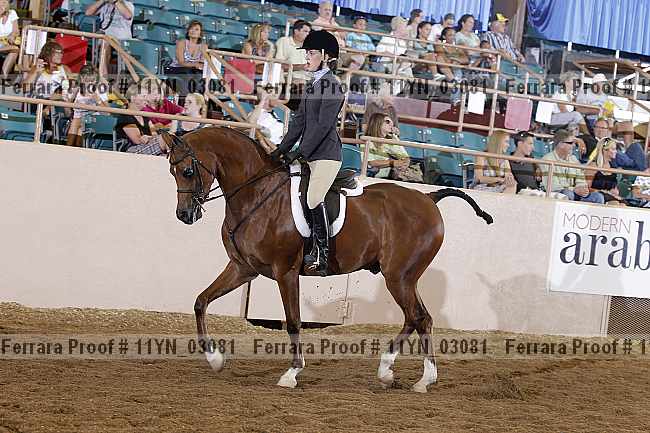 Proof 11yn_03081